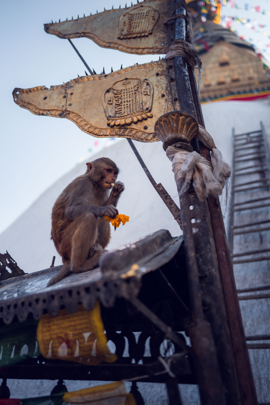 Kathmandu