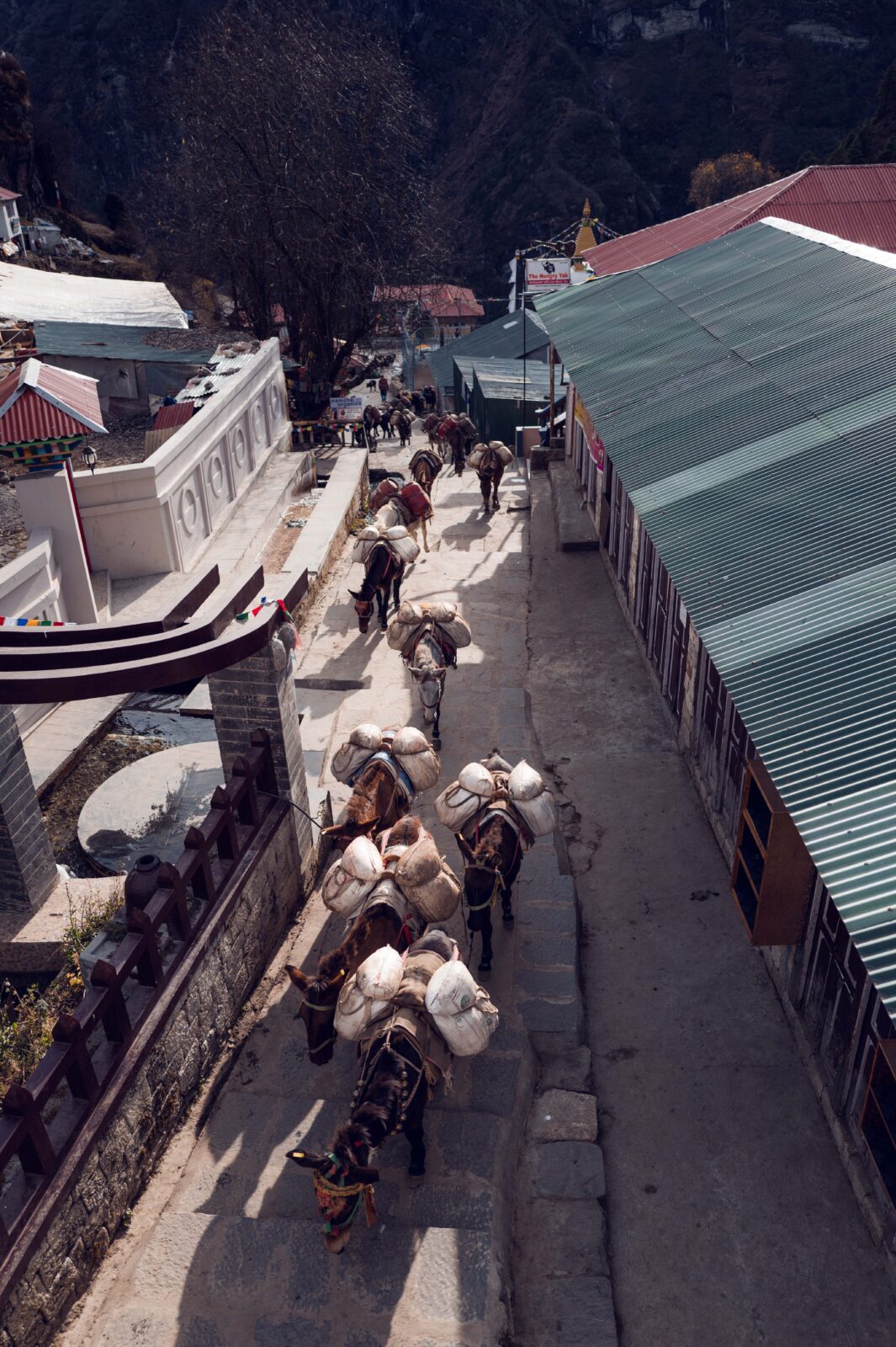 Namche Bazar und Ama Dablam