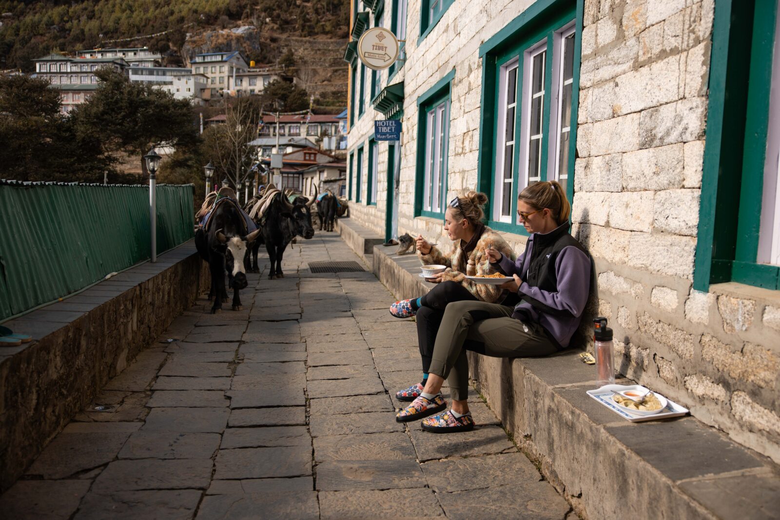 Namche Bazar und Ama Dablam