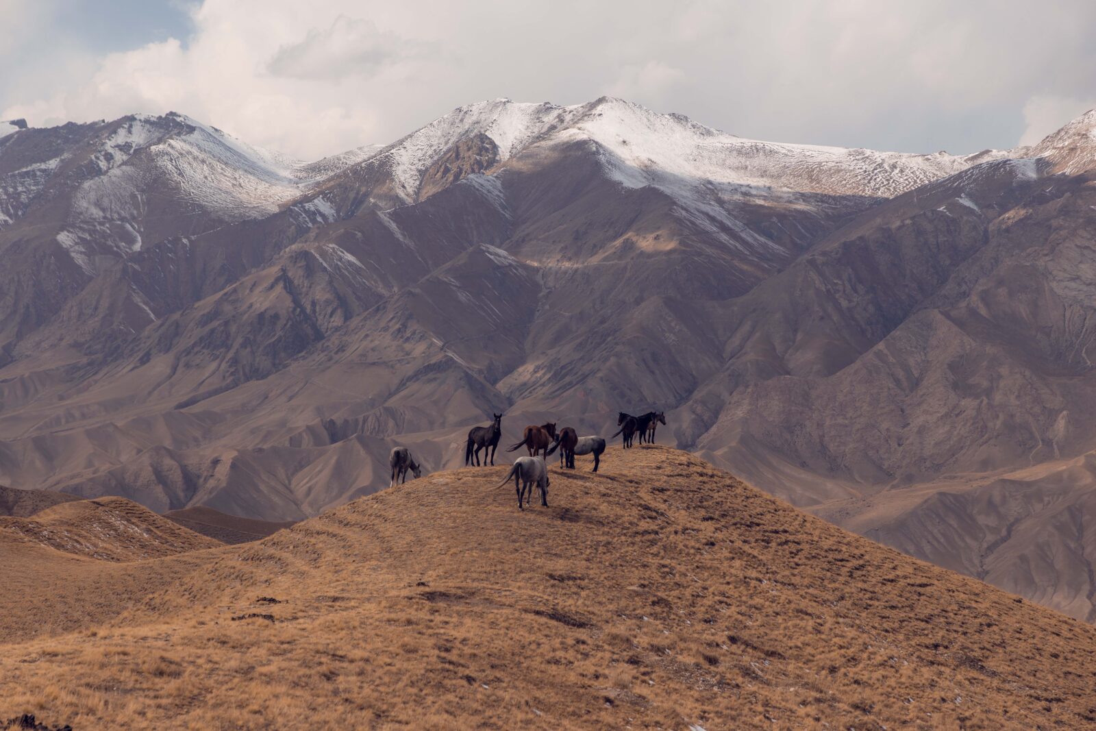 Kirgistan